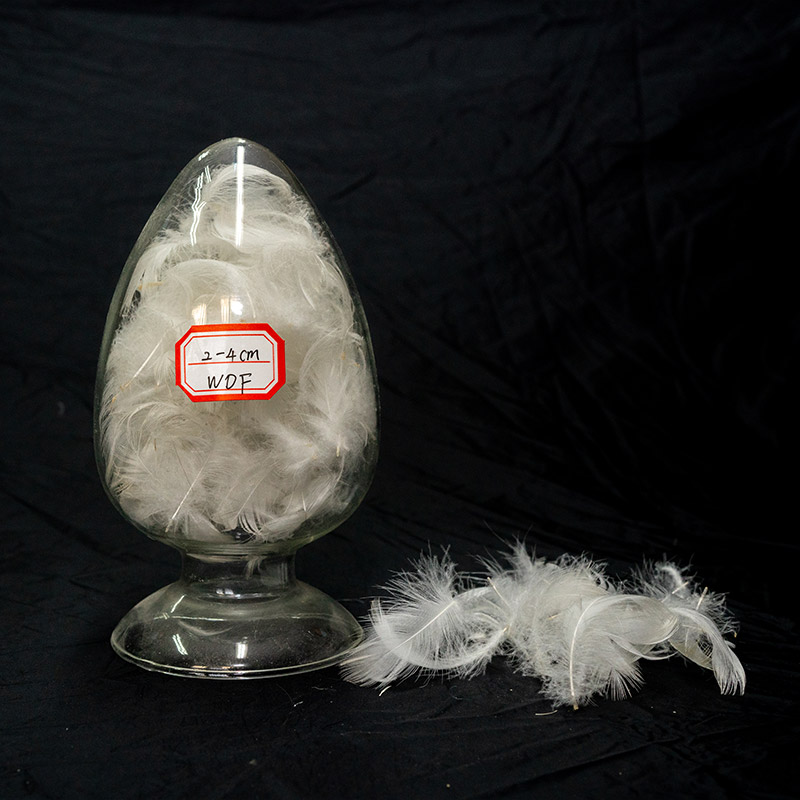 Selected natural feathers | natural feathers | Selected feathers