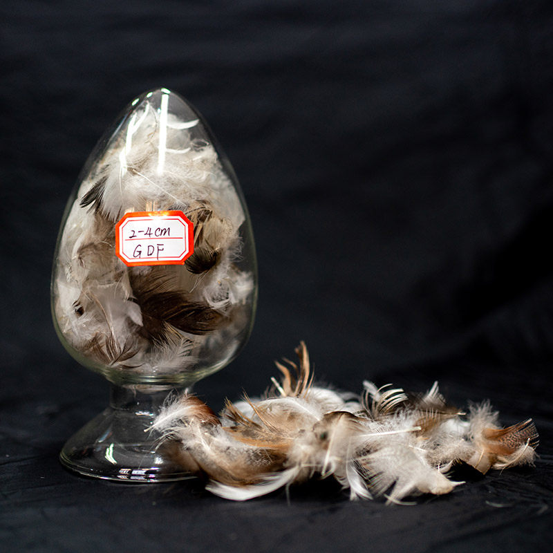 Selected natural feathers | natural feathers | Selected feathers
