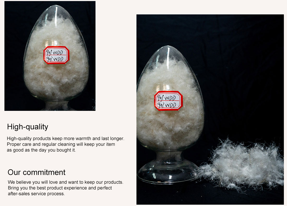 Selected quality white duck down | quality white duck down | white duck down