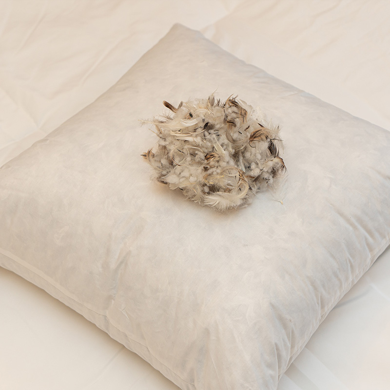 Animal printing blanket | super soft blanket | keep warm blanket