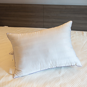 Allieds white down pillow 