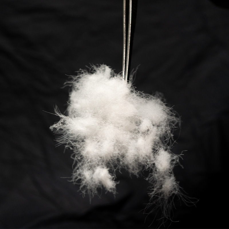 Hand-washed white goose down | white goose down | Hand-washed goose down