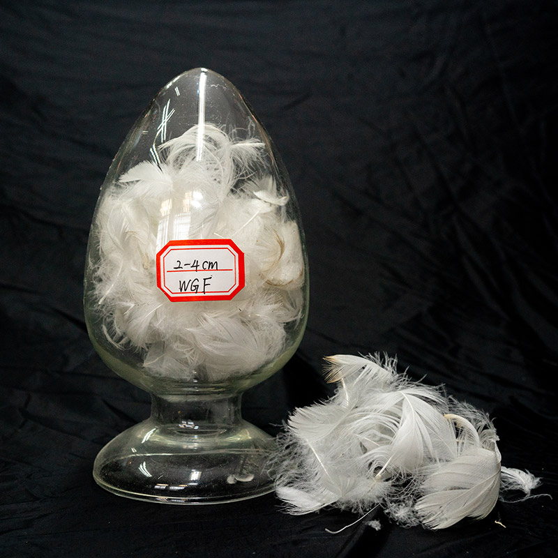 Selected natural feathers | natural feathers | Selected feathers