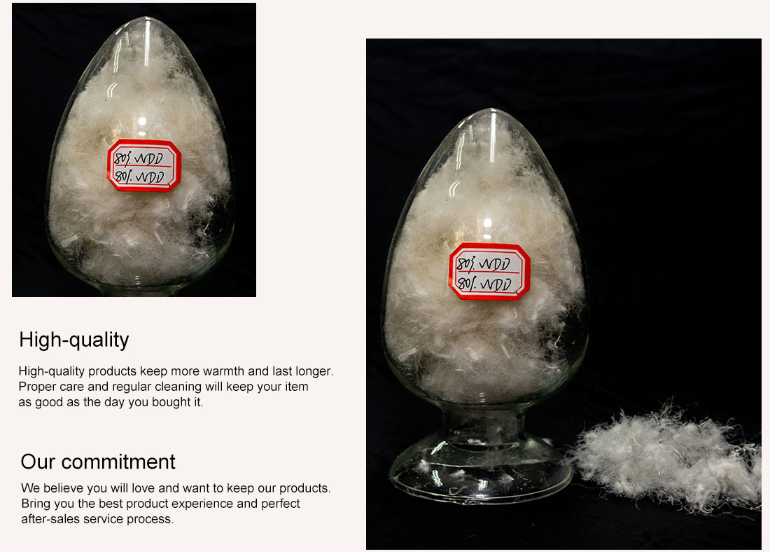Quality white duck down | white duck down | white duck down supplier
