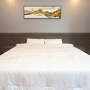 Best Feather Cotton Filled Duvet With Blanket