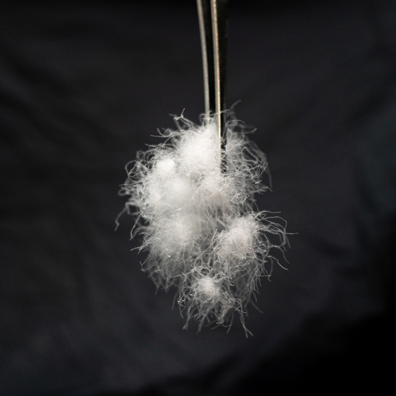 Hand-washed white goose down | white goose down | Hand-washed goose down