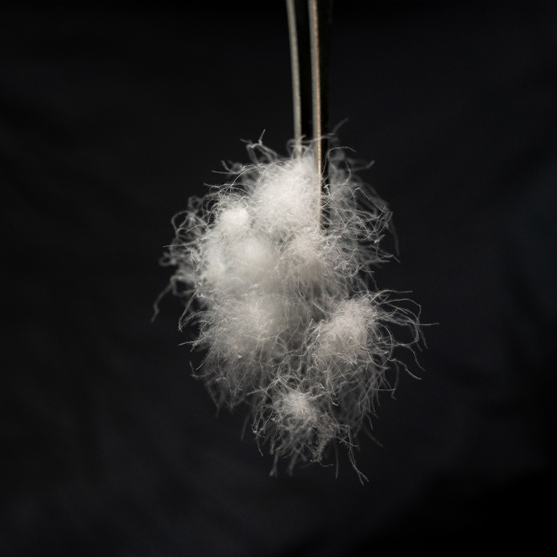 Hand-washed white goose down | white goose down | Hand-washed goose down