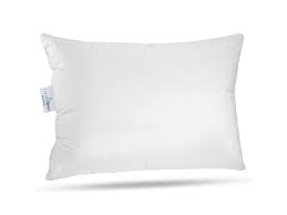 What You Need To Know About Goose Down Travel Pillow